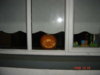 DSC08842.jpg