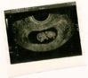 scan0002.jpg