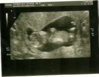 scan0006.jpg