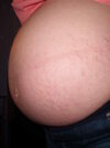 SL270769.jpg