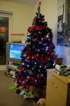 DSC01504.jpg