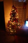 DSC05219.jpg