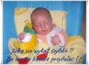 IMG_2904aa.jpg