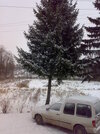 20091217558.jpg