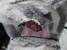 DSC00073.jpg