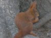 SANY0014.JPG