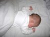 DSCN3937.jpg