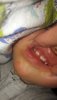 20200617_213305.jpg