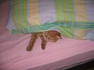 IMG_0486.jpg