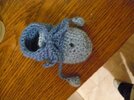 bucik1.jpg