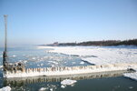 IMG_4614.jpg