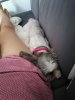 IMG_20200815_102909.jpg