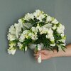00000107.jpg