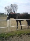 DSC00121.JPG
