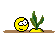 repasn6.gif