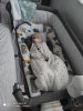 IMG_20201129_073233.jpg