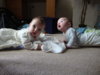DSC01091.jpg