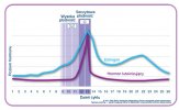 fertility-and-conception-graph-large_pol.jpg