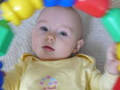 P1090217.jpg