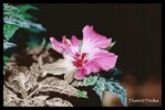SCAN0019.jpg