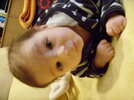 ST830986..jpg ST830986..jpg