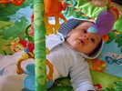 ST830984..jpg ST830984..jpg