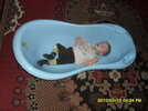 SAM_0450..jpg