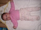SL270975..jpg SL270975..jpg