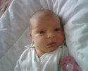 IMG00228..jpg