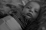 DSCN_022603..jpg
