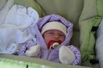 IMG_4732..jpg