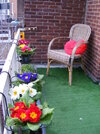 2010_0327SPRINGT006&.jpg