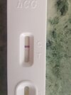 IMG_20210613_163343.jpg