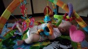IMG_20210622_141556248.jpg