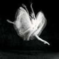 *Lily