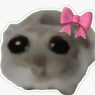 myreflection94
