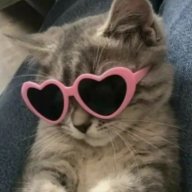 theclassyissue