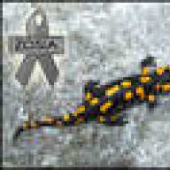 e.salamandra