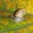 Martyna8704