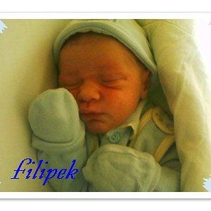 Filipek
