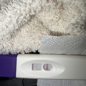 Media 'IMG_0031.jpeg' w kategorii 'Grupy'